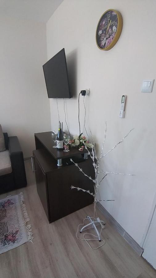 Rose & Water Guest House Pavel Banya Esterno foto