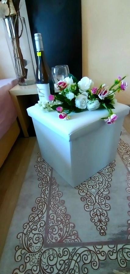 Rose & Water Guest House Pavel Banya Esterno foto